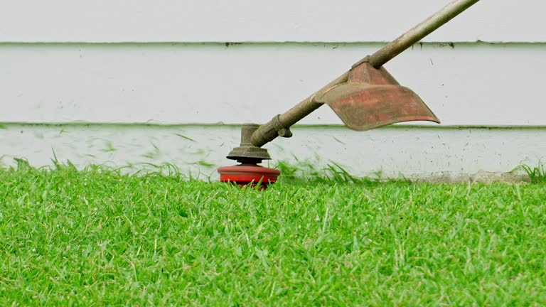 Lawn Drainage Solutions in Summerville, SC